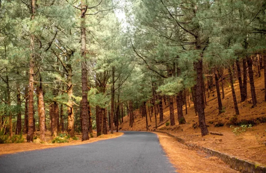 ranikhet distance Nainital Ranikhet Kausani Jim Corbett