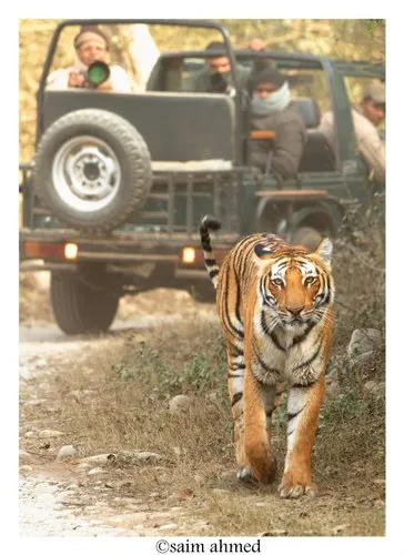 Mussoorie Rishikesh Haridwar Nainital Jim Corbett Tour 7Night/8Days