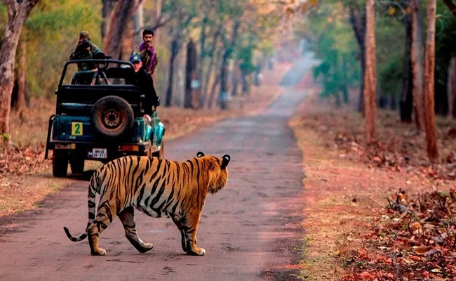 Day-6 Jim Corbett To Nainital