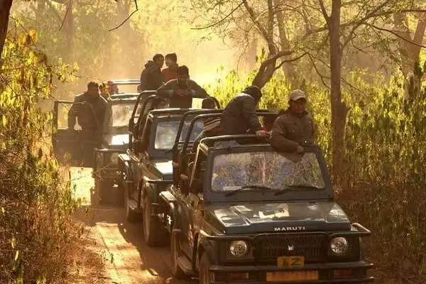 Day 5: Jaipur to Sariska