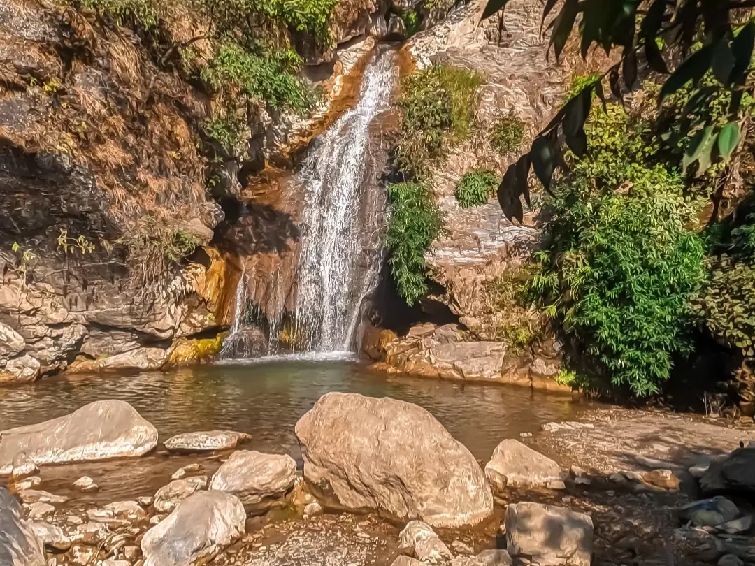 Dehradun-Mussoorie-Dhanaulti Tour 3 Night/4 Days